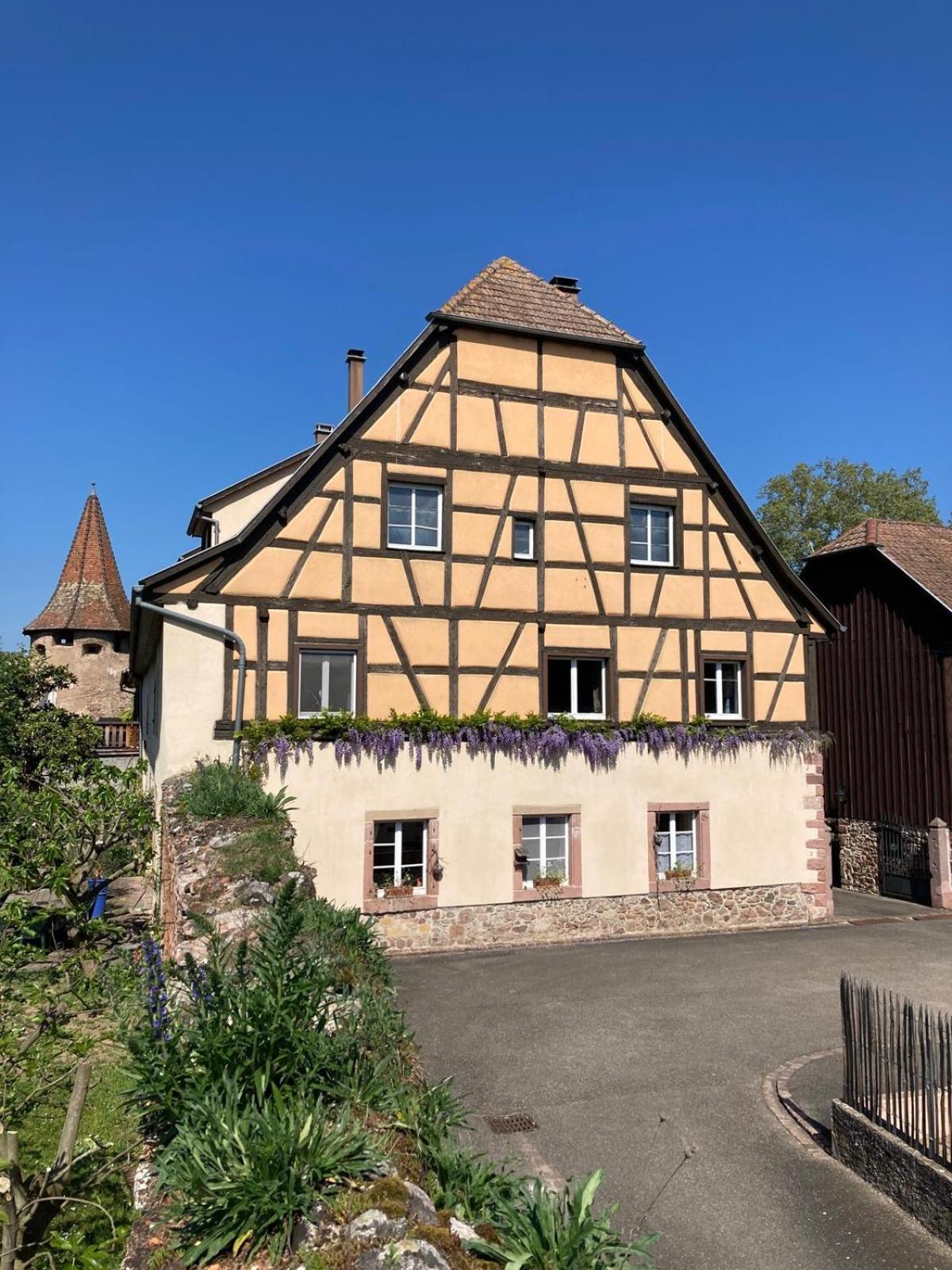 Joli Gite 2 Personnes En Alsace Guemar Bagian luar foto